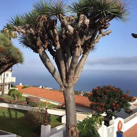 公寓 New And Swimming Pool *