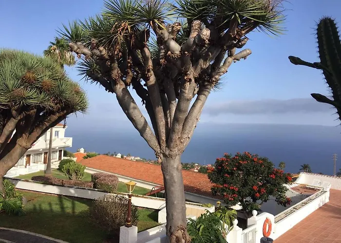 公寓 New And Swimming Pool *